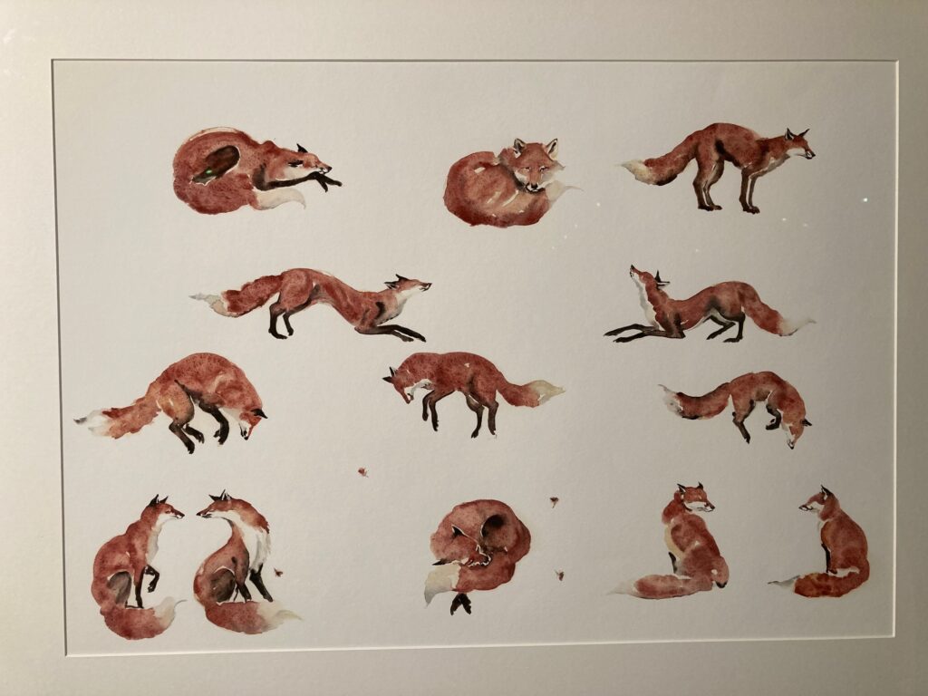 More of Jackies work